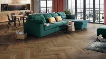 6788eb7cc4bd3.jpg